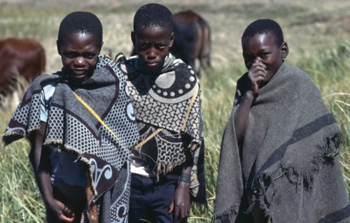 LESOTHO, People, Children, Three boys standing in field with cattle