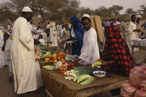 SUDAN, North Darfur, El Fasher, Fruit and vegetable stall at outside market with vendors and male