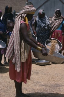 SUDAN, Work, Nigerian woman with child in sling on her back winnowing grain.
