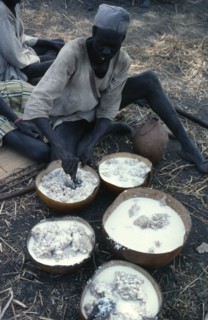 SUDAN, Tribal People, Preparation of Dinka wedding feast.