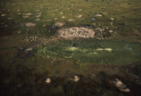 SUDAN, Traditional Housing, Aerial view over Dinka cattle camp during the wet season.