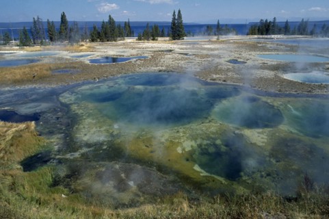 USA, Wyoming, Yellowstone National Park. Geysers at West Thumb.