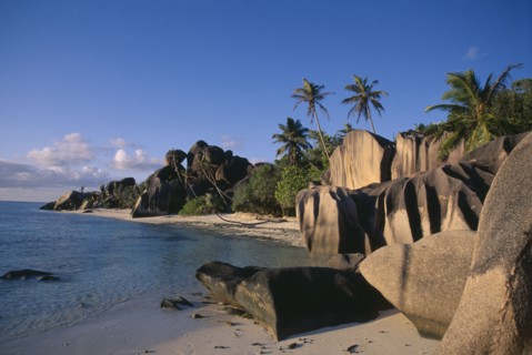 SEYCHELLES, La Digue , Anse Source D Argent, Rock formations along the coast with palm trees and