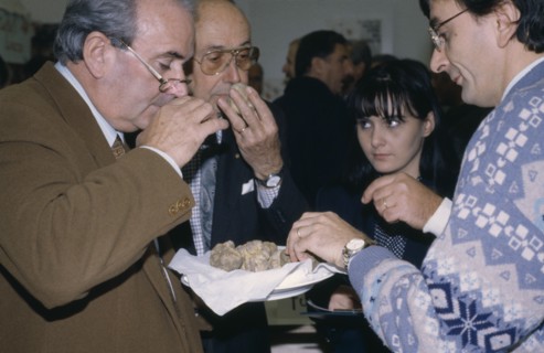 ITALY, Piedmont, Alba, Men and women judging White Truffles at Alba Truffle Festival