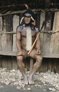 INDONESIA, Irian Jaya, Baliem Valley, Dani Warrior man wearing a penis gourd with the top made from