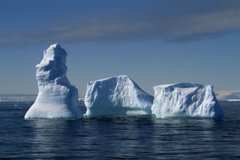 ANTARCTIC, Peninsula, Melting Icebergs on open water