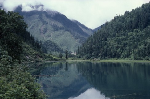 CHINA, Sichuan Province, Huanglong, Jiuzhaigou Nature Reserve. Lake surrounded by green tree