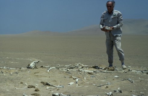 PERU, Paracas National Park, The late conservationist  Felipe Benavides at Guanacos Cemetery