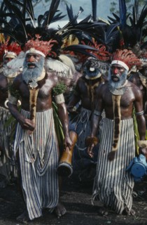 PACIFIC ISLANDS, Melanesia, Papua New Guinea, Western Highlands. Mount Hagen. Sing Sing Festival.