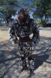 ZIMBABWE, People, Makishi masked dancer wearing feathered bird costume.