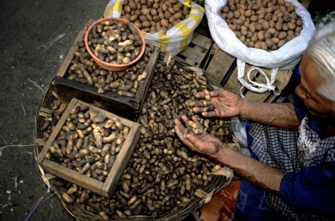 MEXICO, Oaxaca State, Oaxaca, "At the back of Oaxaca City lies a large market where it is possible