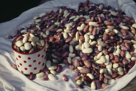 HUNGARY, Budapest, Beans for sale in the market.