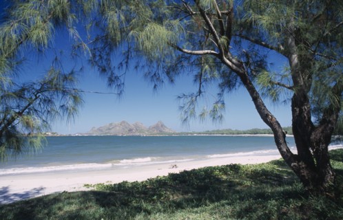 MADAGASCAR, Fort Dauphin, Lokaro, The Bay of Lokaro with view from under trees towards sandy