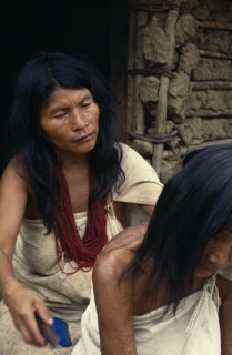 COLOMBIA, Sierra Nevada de Santa Marta, Sierra Avingue, Parque Nacional. Kogi mother and