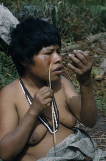 COLOMBIA, Sierra de Perija, Yuko - Motilon ., "Woman applying red “Achiote” facial paint extracted