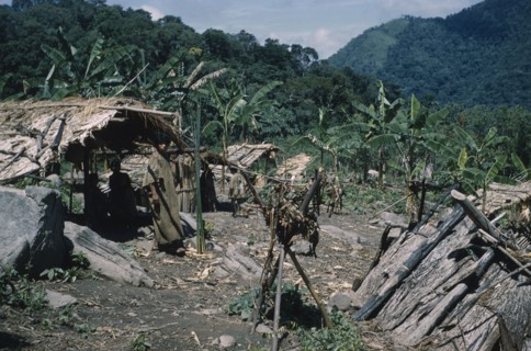 COLOMBIA, Sierra de Perija, Yuko - Motilon, Village in the Sierra de Perija with dwelling huts and