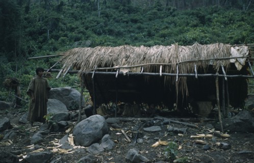 COLOMBIA, Sierra de Perija, Yuko - Motilon, "Palm thatch dwellings and shelters, boy wearing long