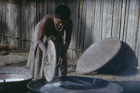COLOMBIA, Vaupes Region, Tukano Tribe, Girl prepares clay oven for baking “casabe” yucca flour into