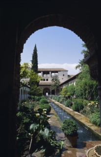 SPAIN, Andalucia, Granada, The Generalife.  Long central pool in the Patio de la Acequia enclosed