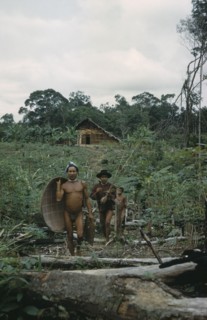 COLOMBIA, Vaupes Region, Tukano Tribe, "Headman with yucca flour basket, his brother with fishing