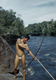 COLOMBIA, Vaupes Region, Tukano Tribe, Man fishing with “macana” wood bow and bamboo arrow in rio