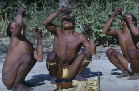 COLOMBIA, Vaupes Region, Tukano Tribe, Men pour very hot aji / red pepper juice down nostrils to