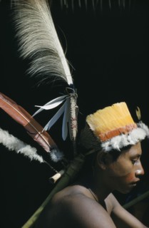 COLOMBIA, Vaupes Region, Tukano Tribe, "Portrait of Uriel, young man with fine feather head-dress