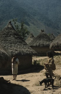 COLOMBIA, Sierra Nevada de Santa Marta, Kogi Tribe, "San Miguel village, important Kogi centre,
