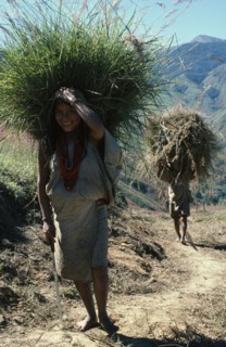 COLOMBIA, Sierra Nevada de Santa Marta, San Antonio, "Mama Valencia's daughter and young son bring