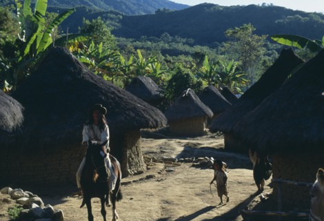 COLOMBIA, Sierra Nevada de Santa Marta, Avingue, "Parque Nacional. Kogi Wiwa leader riding his