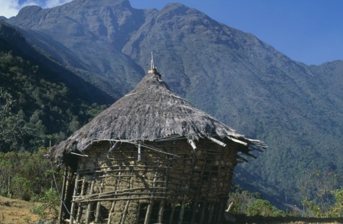 COLOMBIA, Sierra Nevada de Santa Marta, Southern Slopes, South side of Sierra Nevada de Santa Marta