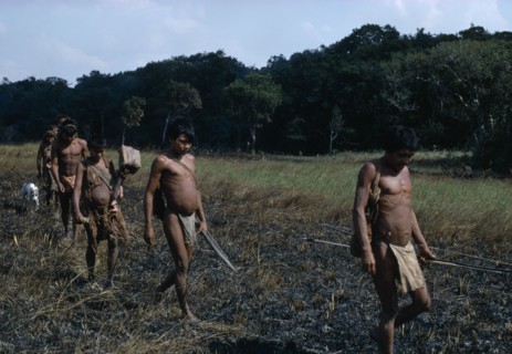 COLOMBIA, Llanos Plains, Agua Clara, Cuiva: First Contact  a family move away from their camp on