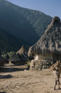 COLOMBIA, Sierra Nevada de Santa Marta, Kogi Tribe, "San Miguel, a Kogi village in foothills of