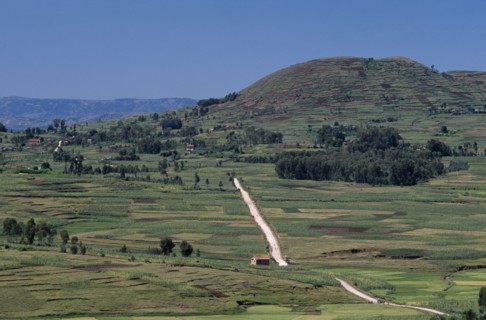 MADAGASCAR, Landscape, Near Antsirabe. Elevated view over patchwork fields with a dirt road running