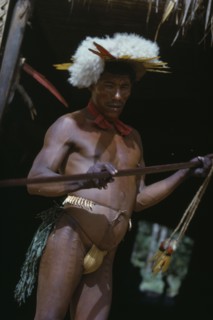 COLOMBIA, Vaupes Region, Tukano Tribe, "Shaman beats ceremonial “kurubeti” / stave to fend off evil