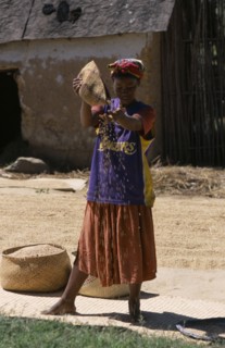MADAGASCAR, Agriculture, Road to Ranomanfana. Woman wearing a Los Angeles Lakers Basketball team