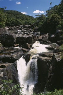 MADAGASCAR, Ranomanfana National Park, Waterfalls cascading over rocks surrounded by lush green