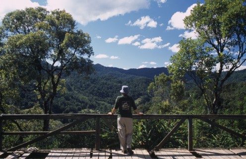 MADAGASCAR, Ranomanfana National Park, Tourist wearing Madagasgar tshirt standing looking over