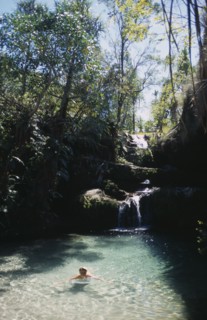 MADAGASCAR, Isalo National Park, Trees surrounding a waterfall running over rocks into a natural