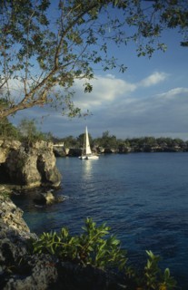 WEST INDIES, Jamaica, Negril, Catamaran sailing around rocky coastline.