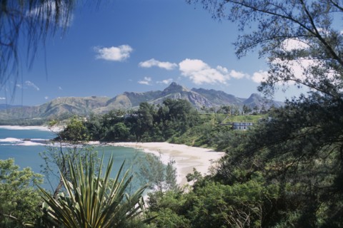 MADAGASCAR, Fort Dauphin, Libanona Beach with view across plants and vegetation towards sandy