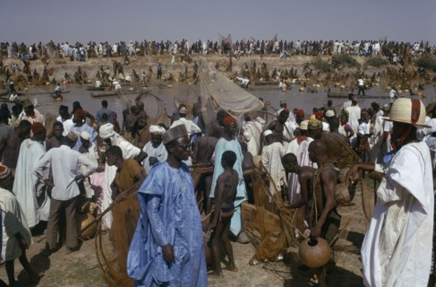 NIGERIA, North, Argungu, Crowds of spectators and competitors in annual three day fishing festival