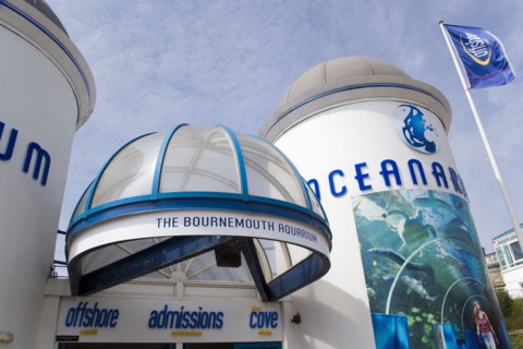 ENGLAND, Dorset, Bournemouth, The Oceanarium on the seafront