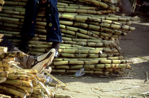 MEXICO, Oaxaca State, Oaxaca, "At the back of Oaxaca City lies a large market where it is possible