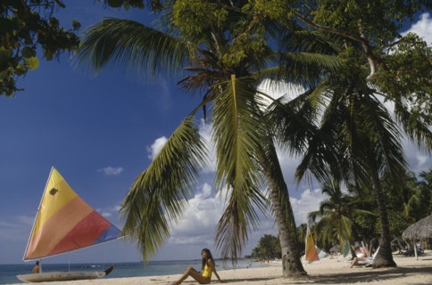 DOMINICAN REPUBLIC, Casa de Campo, Las Minitas Beach lined with palm trees and windsurfs with a