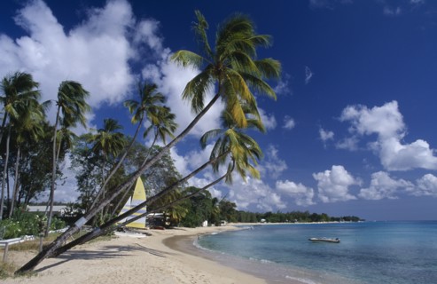 BARBADOS, St Peter Parish, Mullins Beach, Quiet sandy beach near the King’s Beach Hotel on coast of