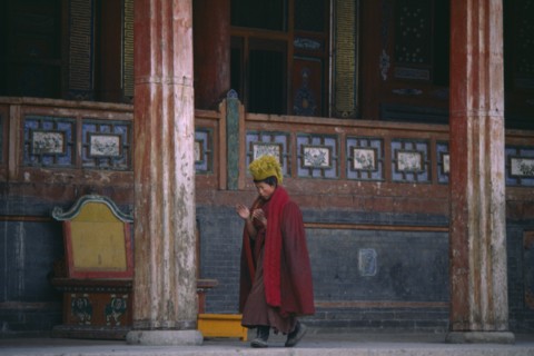 CHINA, Qinghai Province, Taer Lamasery, Tibetan Yellow Hat Buddhist monk calling other monks to