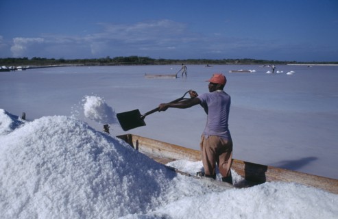 DOMINICAN REPUBLIC, Las Salinas, Man working at salt mines