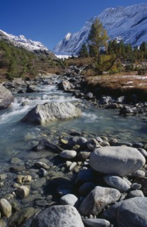 SWITZERLAND, Wallis, Lotschental, "The young Lonza river gorge, looking east towards the head of