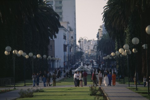 MOROCCO, Rabat, City centre and Avenue Mohammed V lined by trees and street lights.